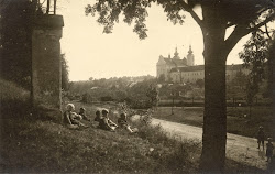 Začátek křížové cesty

Historická fotografie z první poloviny 20. stol.

Zobrazuje první zastavení křížové cesty.

Zde začíná výlet do minulosti.