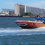 IMG_1556.jpg