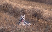 IMG_0034 IMG_0034