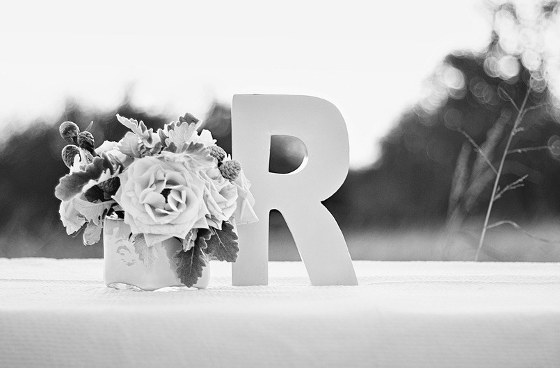 [nb1--bows-and-arrows-dallas4.jpg]