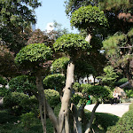 IMG_2769.JPG