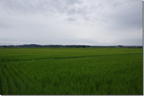IMGP7035 IMGP7035