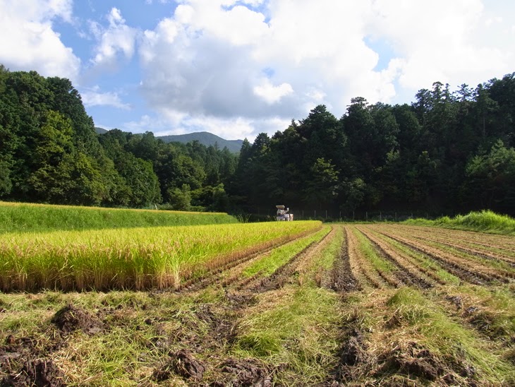 農業風景.jpg 農業風景