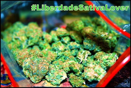 LiberdadeSativaLover