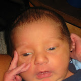 Picture 021.jpg
