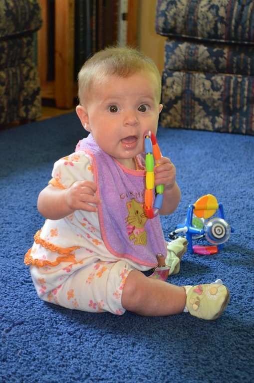 [DSC_5178%255B3%255D.jpg]