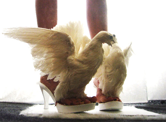 birds-shoes.jpg