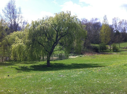 Photo 08-05-2012 13 19 21