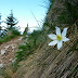 2011.05.24. - Stol