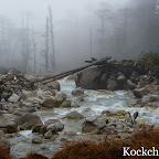 Goechala-dzongri-trek (1).JPG