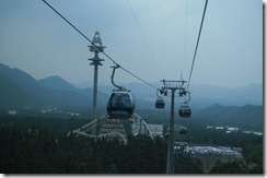 IMG_0809 IMG_0809