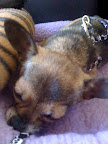 And sometimes I fall asleep on my face.  My mom calls me a 'face sleeper.'