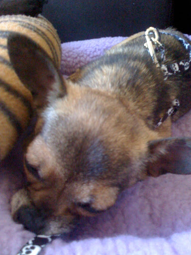 And sometimes I fall asleep on my face.  My mom calls me a 'face sleeper.'