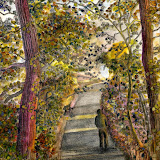 watercolour 9x12 inches, 23 Oct 2011