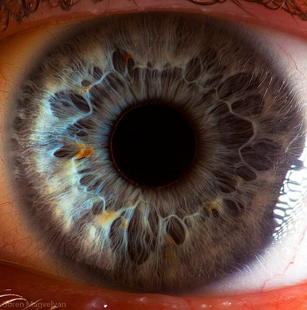 [Open%2520Your%2520Eyes%255B3%255D.png]
