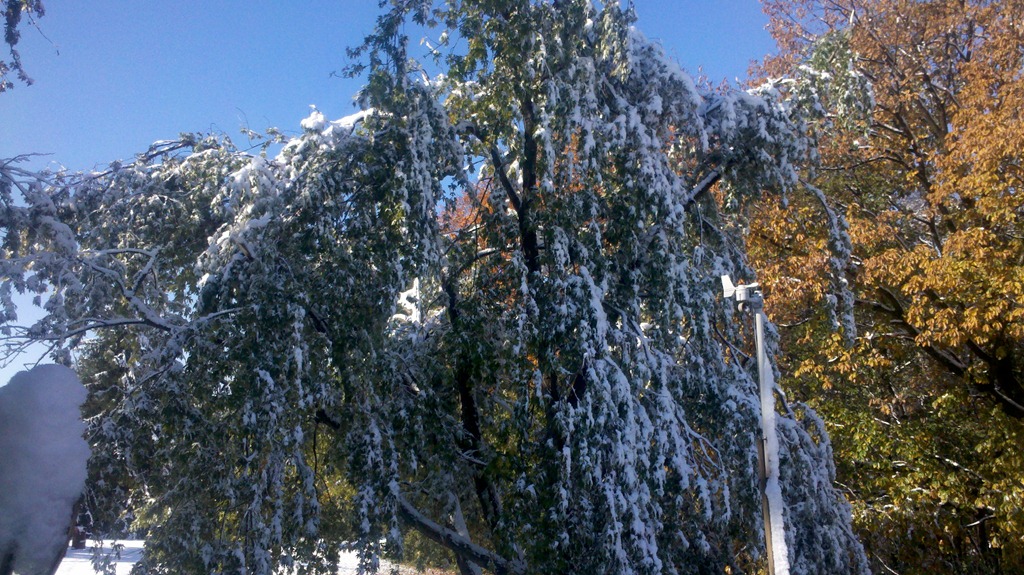 [2011-10-30_10-19-05_395%255B4%255D.jpg]