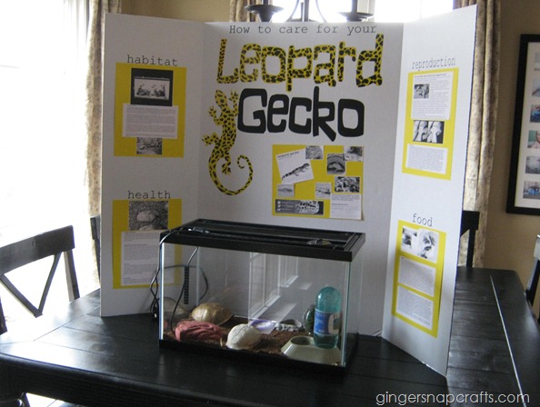science project tri fold