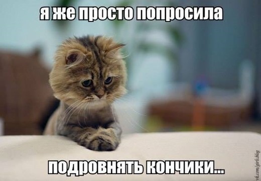 [1012614_622545881108913_1000303149_n%5B3%5D.jpg]