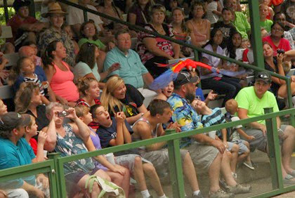 IMG_1428 IMG_1428