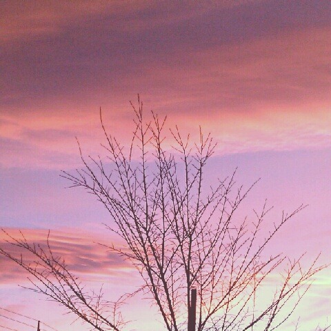 [IMG_20120724_150044%255B3%255D.jpg]