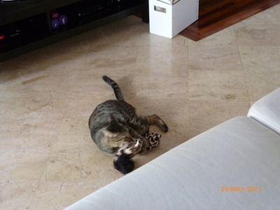 P1000548n