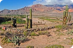 jujuy panorama jujuy panorama