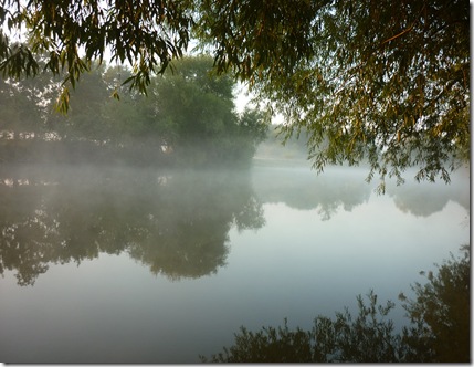mist at wallingford 3