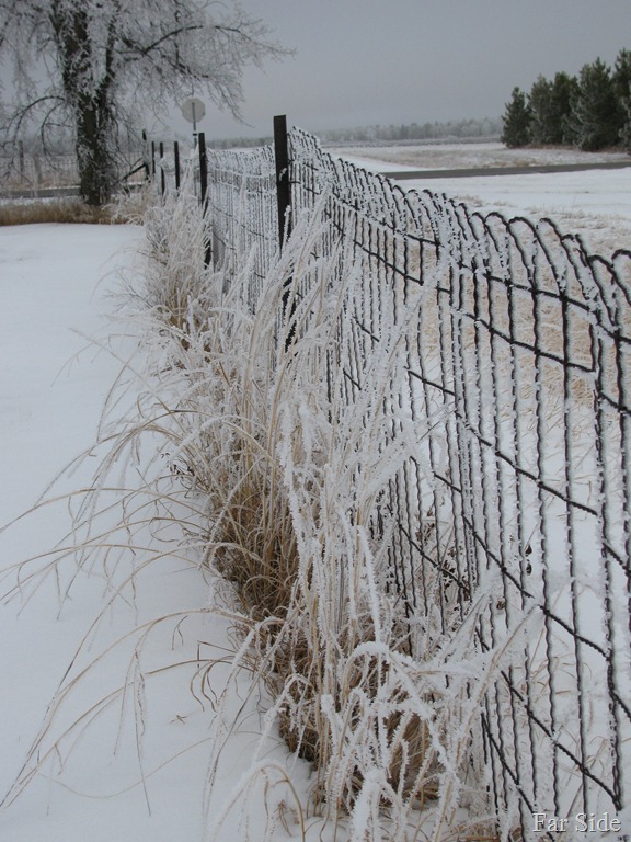 [Frosty%2520Fences%255B9%255D.jpg]