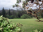 2010 Kauai, Feb. 19-March 5--Our 9th Trip, Tim And Faith's 3rd Slideshow