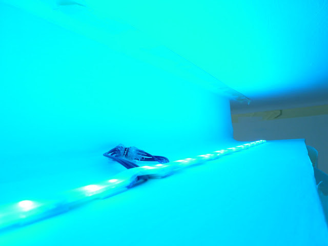 P1000427.JPG