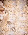 From the wedding of: Lindsay and Reed. (http://www.marthastewartweddings.com/photogallery/lindsay-and-reed#slide_25) From the wedding of: Lindsay and Reed. (http://www.marthastewartweddings.com/photogallery/lindsay-and-reed#slide_25)