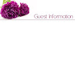 Purple Peonies 4 Guest Information