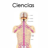 ciencias2.jpg