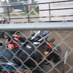 DSC_7368.jpg