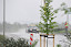 20120506_1978.jpg