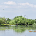 IMG_0989.JPG