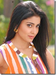 Actress Shriya Saran in Nuvva Nena