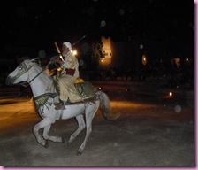 morocco horse