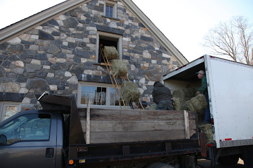 The conveyor was lowered and look how easy it makes getting those heavy bales up into the hay loft!  The chain has big hooks, which grip the bales for transport.