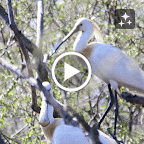 IMG_0910-MOTION.gif