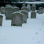 image16.jpg