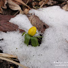 dsc06536.jpg