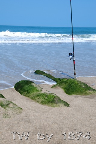 [DSC_6003%255B6%255D.jpg]