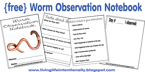 Free printable worm observation book - science fun for kids Free printable worm observation book - science fun for kids