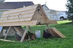  Chicken Gallery