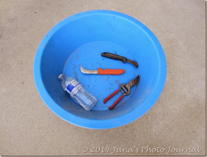 Grape Picking Tools