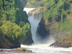 Murchison Falls Nationalpark