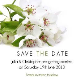 Cherry Blossom - JPGS 1 Save the Date