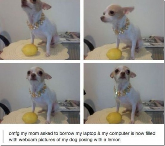 viral-picdump-pics-380116