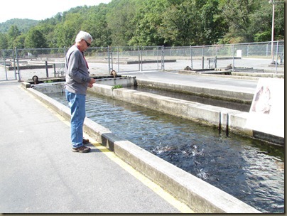 Fish hatchery mt pisgah national forest